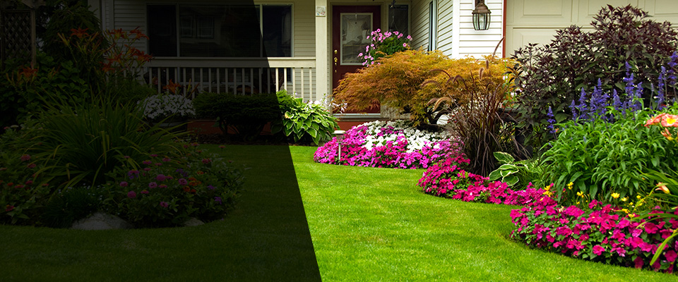 Port Orange Landscapers