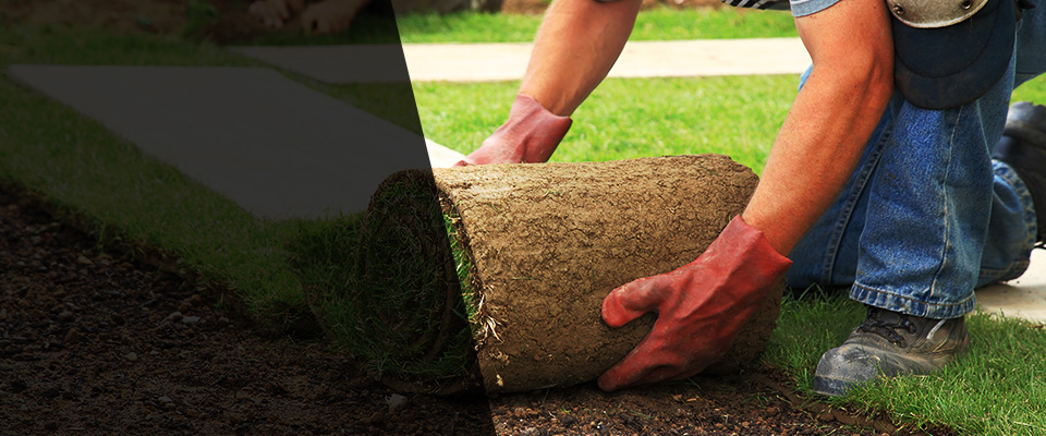 Port Orange Landscapers